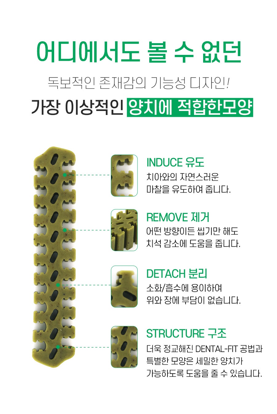 덴티페어리 클로로필 M 대용량 (34P)-상품이미지-12