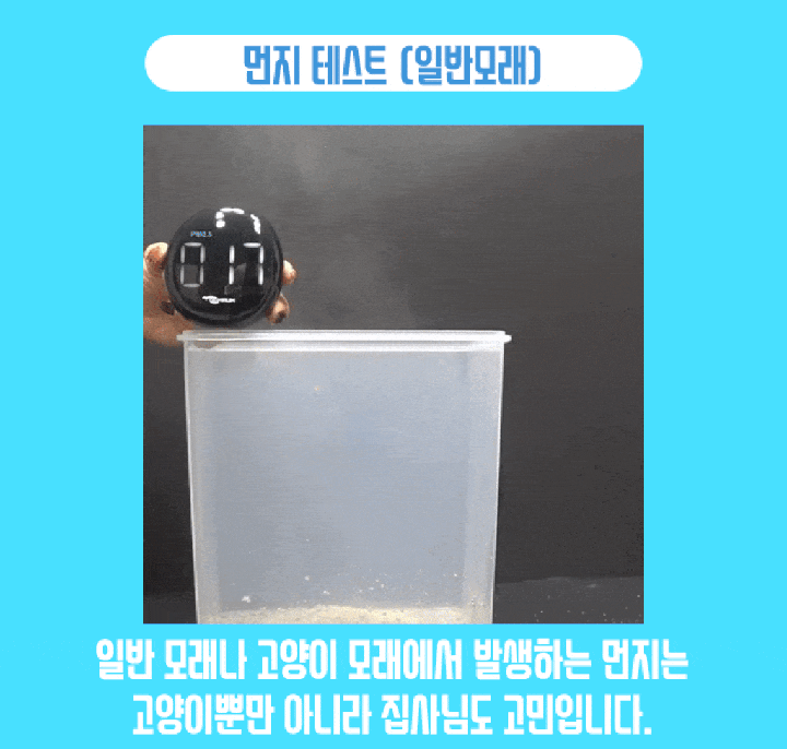 나응식 수의사의 캣썸 노블샌드23 (6kg)-상품이미지-12